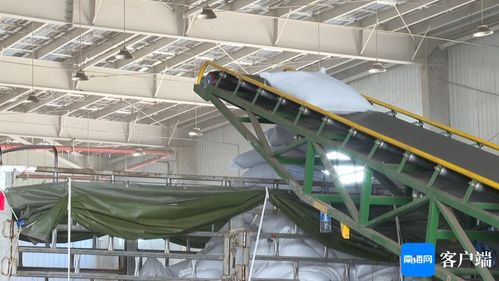 東方這個(gè)項(xiàng)目已具備生產(chǎn)功能 預(yù)計(jì)每年可處理30萬(wàn)噸有機(jī)廢棄物